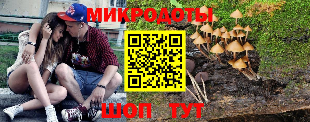 Черкесск  Псилоцибиновые грибы мицелий  Вход с VPN 