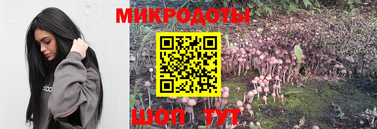 Галлюциногенные грибы Psilocybine cubensis Черкесск